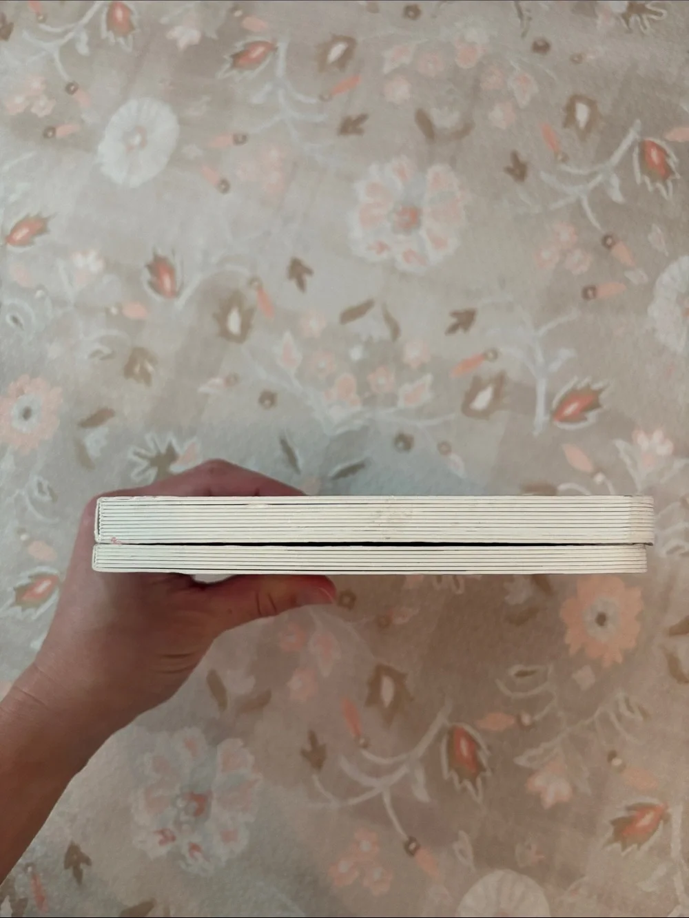LOVEVERY board book